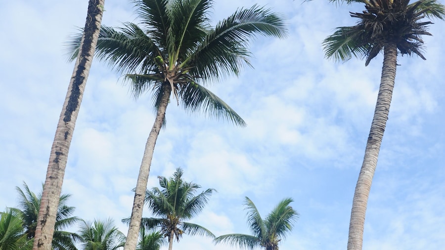 shell villa apartel resort