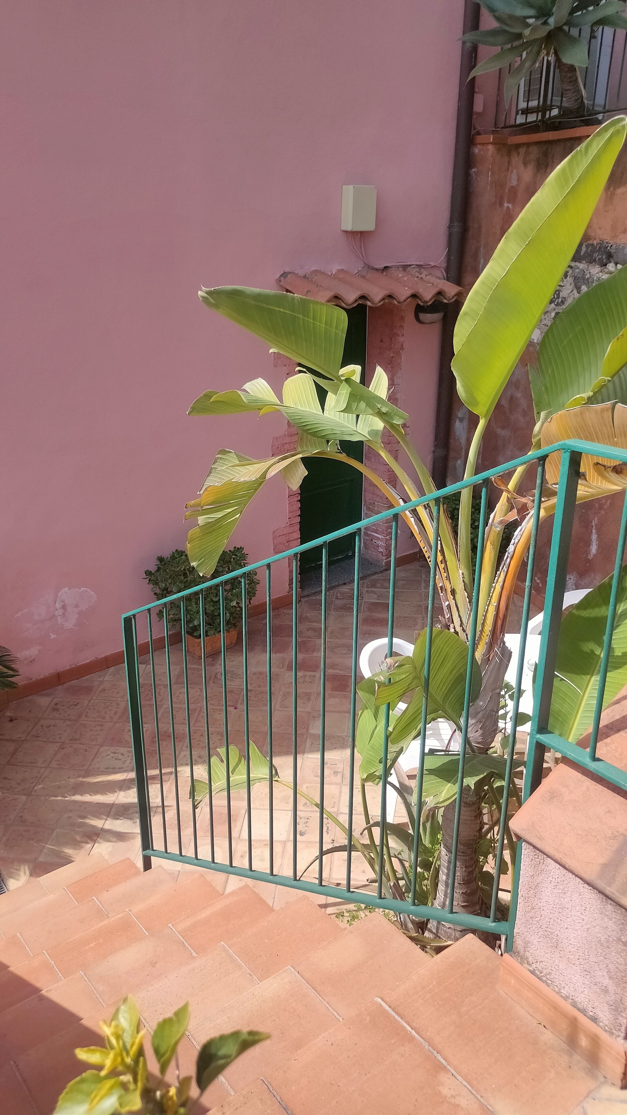 Foto - Hotel Villino Gallodoro