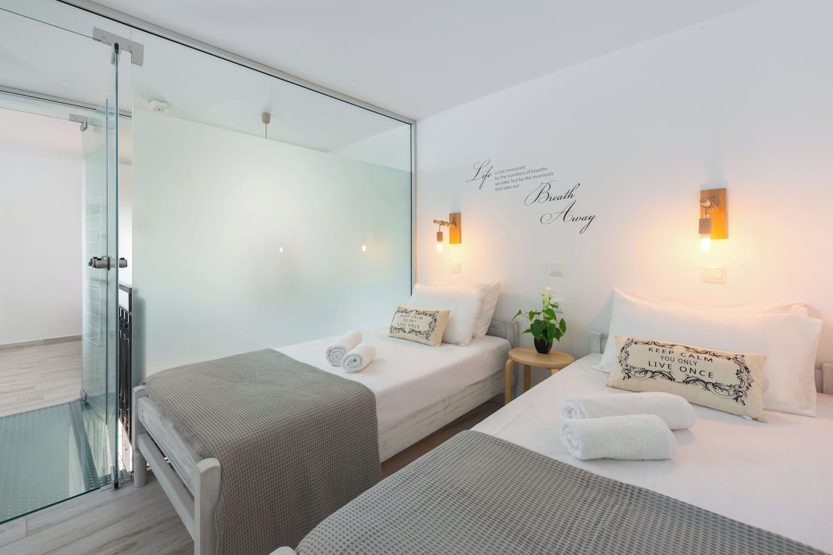 Habitación de hotel con dos camas, cabina de ducha de vidrio y una pequeña mesa con una planta.