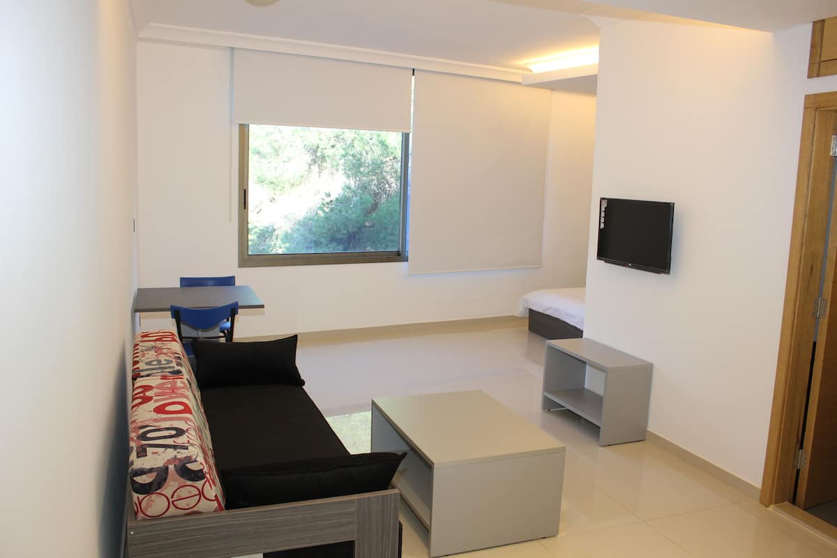 Comfort Single Room, 1 Bedroom, Mountain View, Mountainside | Living area | 40-inch flat-screen TV with cable channels, TV