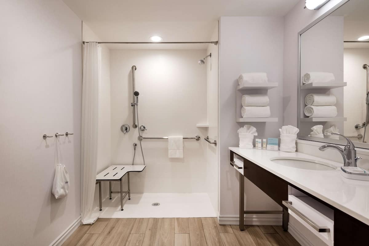 room, 1 king bed, accessible, non smoking | bathroom shower