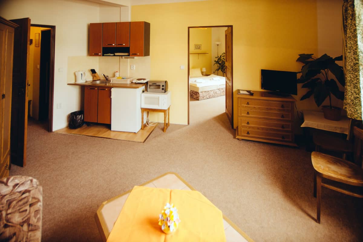 A compact living space with a kitchenette, a dining area, a bed, and a television.