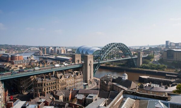 A cityscape with a prominent bridge, historic buildings, and a river.