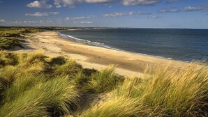 A beach with sand and grass. - The Portland Hotel (Ashington)