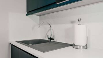 A modern kitchen with a stainless steel sink, a faucet, and a paper towel holder.