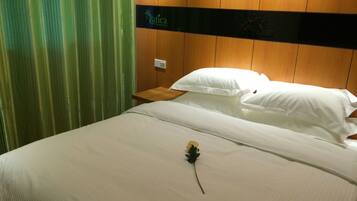 Blackout curtains, iron/ironing board, free WiFi