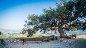 Un espace extérieur dallé de pierres, avec des bancs et un grand arbre qui offre de l’ombre.