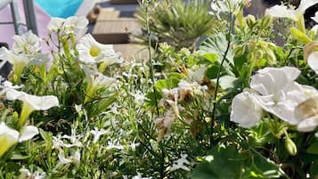 Literie de qualité supérieure, matelas mémoire de forme