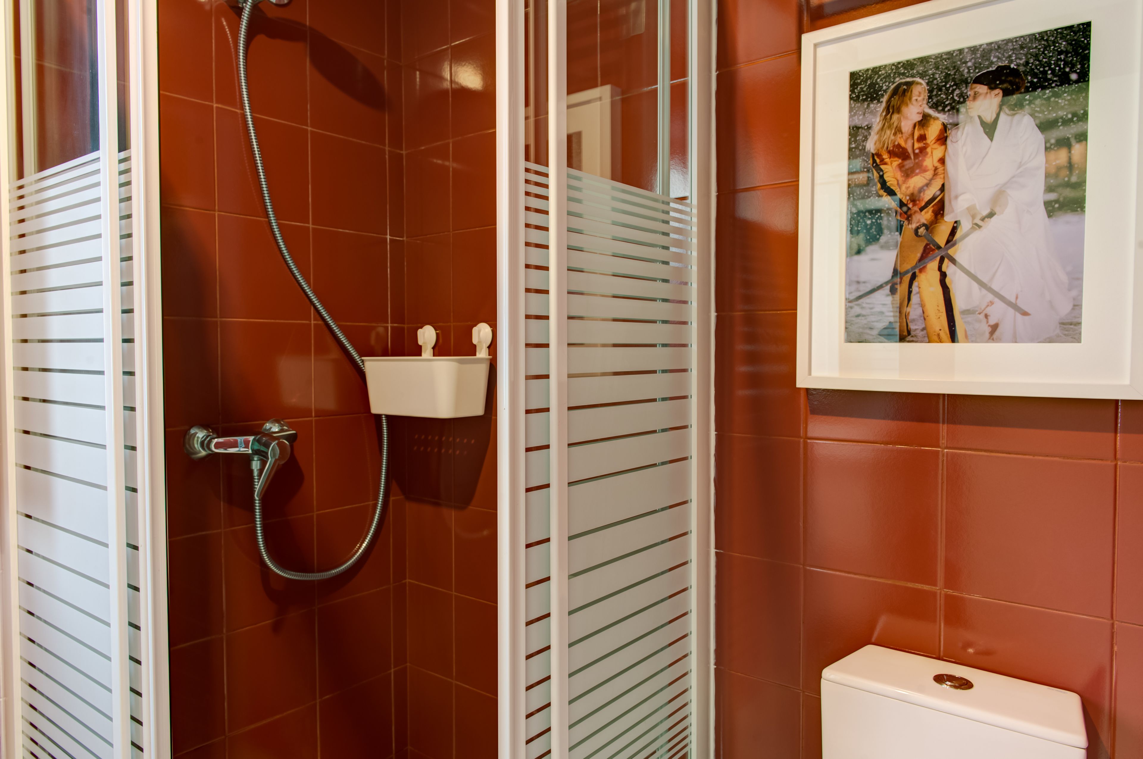 Casa de banho com chuveiro, sanita e um quadro emoldurado na parede.