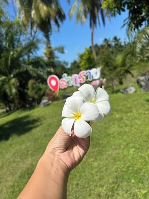 Front of property - Lamphurai Riverside Resort and Spa (Khao Saming)