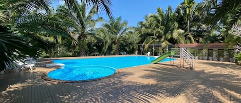 Outdoor pool, sun loungers