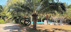 الإطلالة من المنشأة