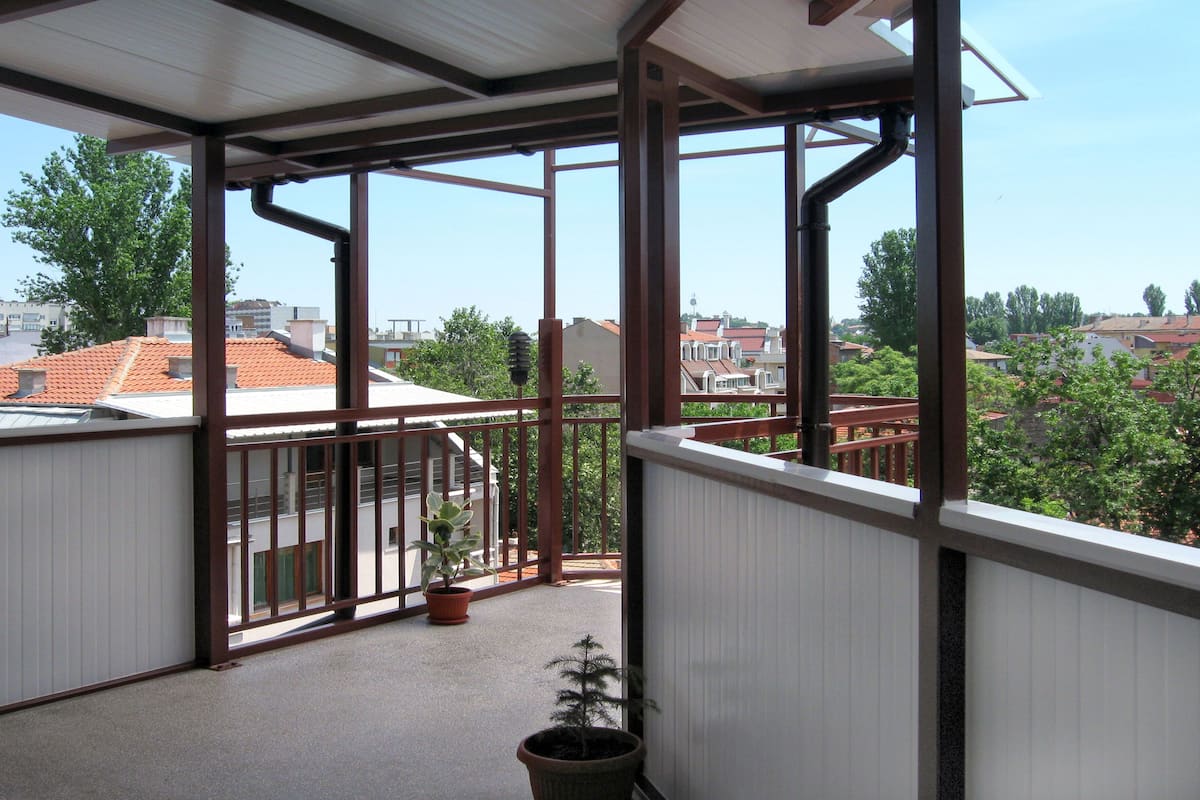 A balcony with a view of a residential area, metal railings, and a potted plant.