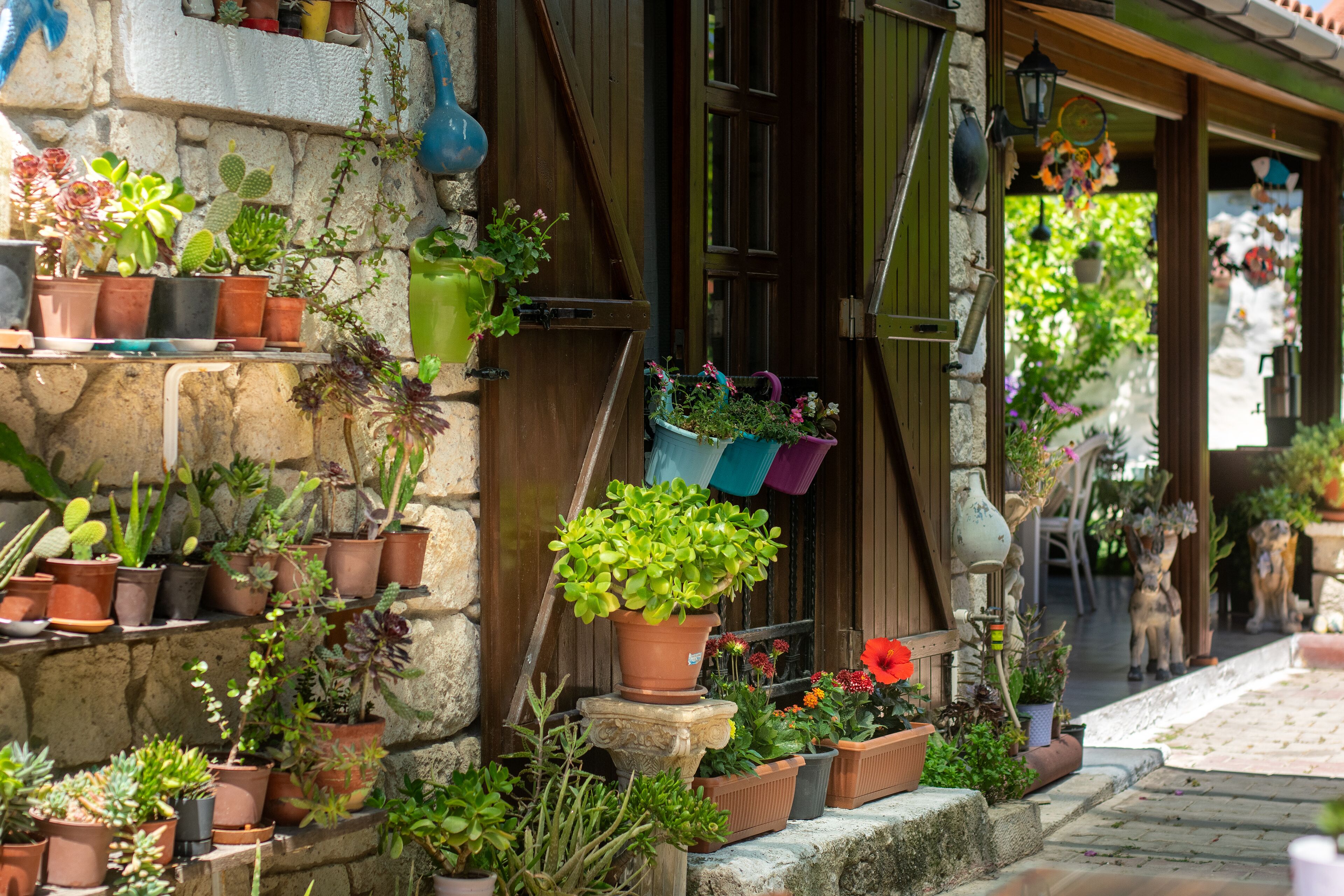 standard twin room | view from room