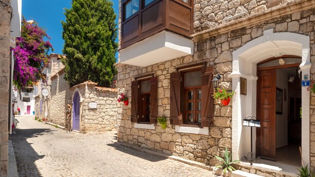 Una calle empedrada con edificios de piedra, contraventanas de madera y macetas con plantas.
