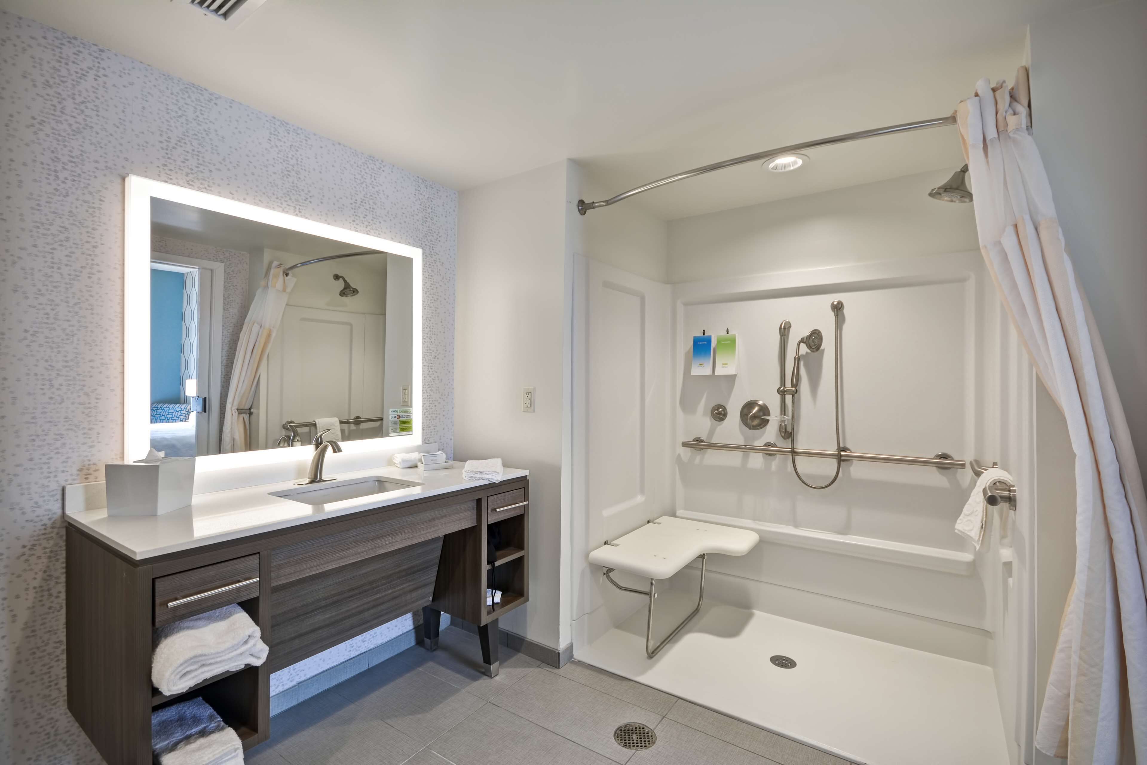 suite, 1 king bed, accessible, non smoking (roll-in shower) | bathroom shower