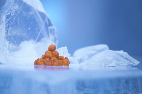 Un montón de objetos anaranjados sobre una superficie, con bloques de hielo al fondo.