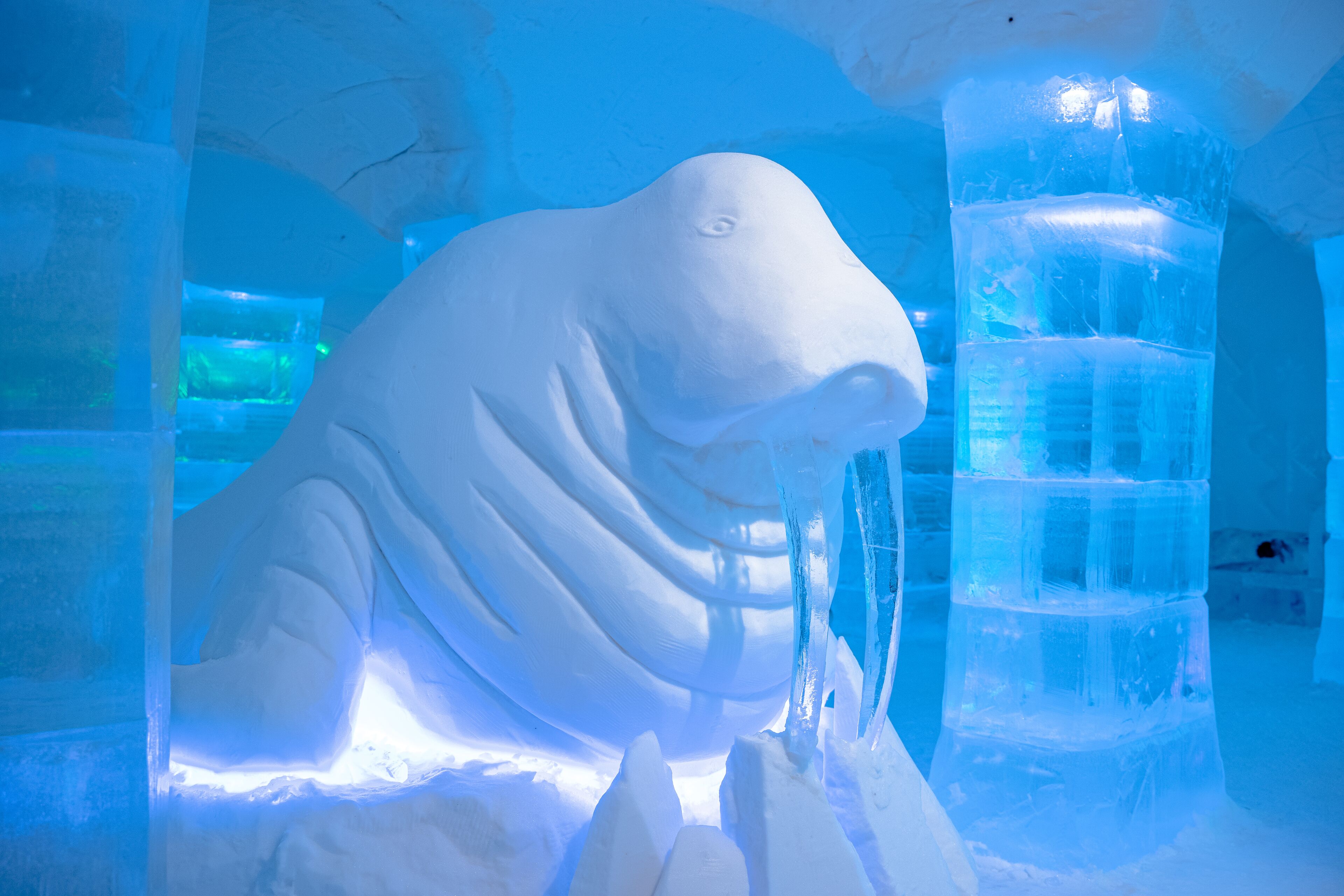 An ice sculpture of a walrus in a blue-lit enclosure.