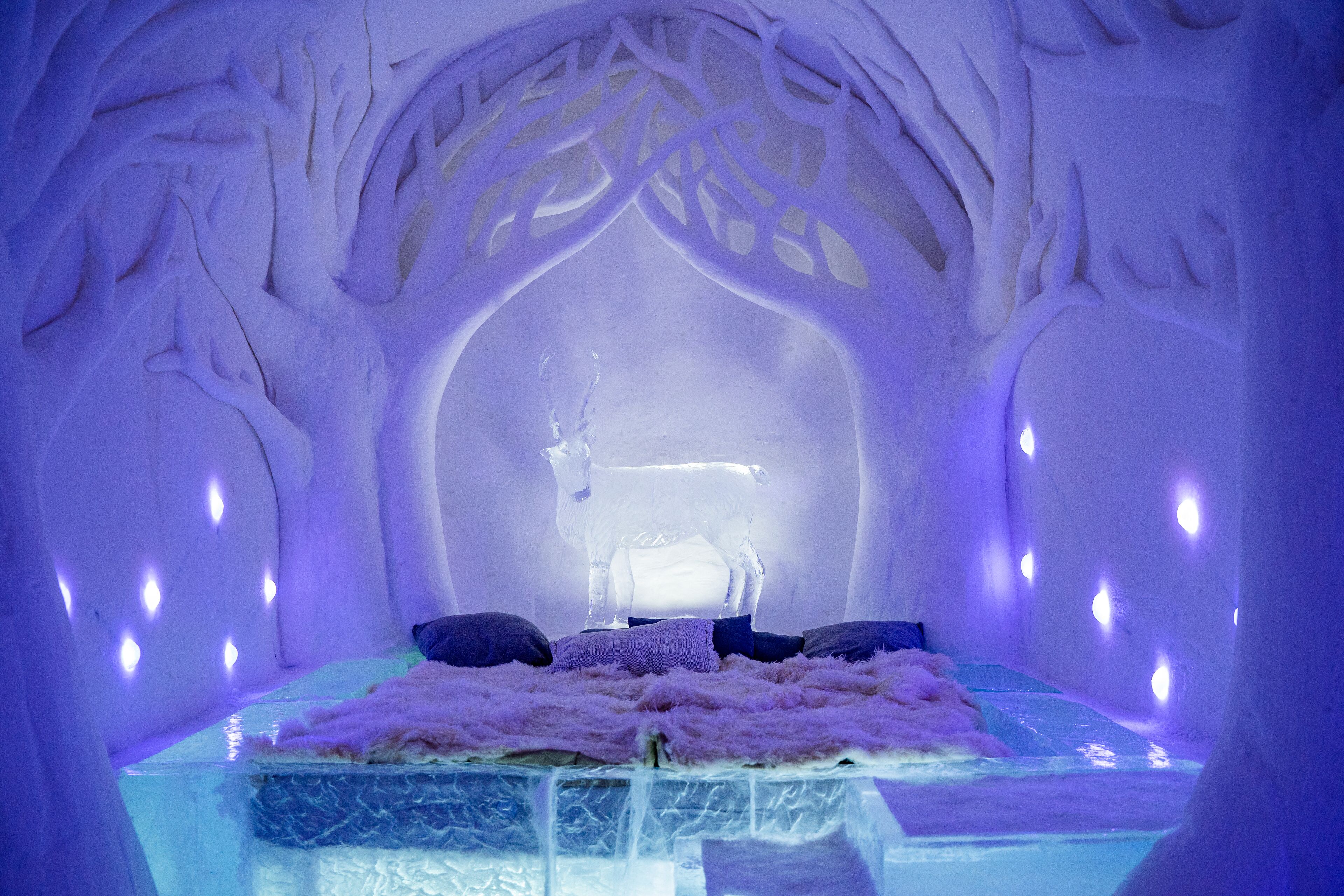 Igloo Hotel Suite | Geluiddichte muren, beddengoed