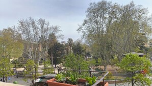 Un balcón con macetas de terracota, vista a un parque con árboles y un edificio al fondo.