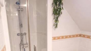 A glass-enclosed shower with a handheld showerhead, a small shelf with a plant, and a tiled floor.