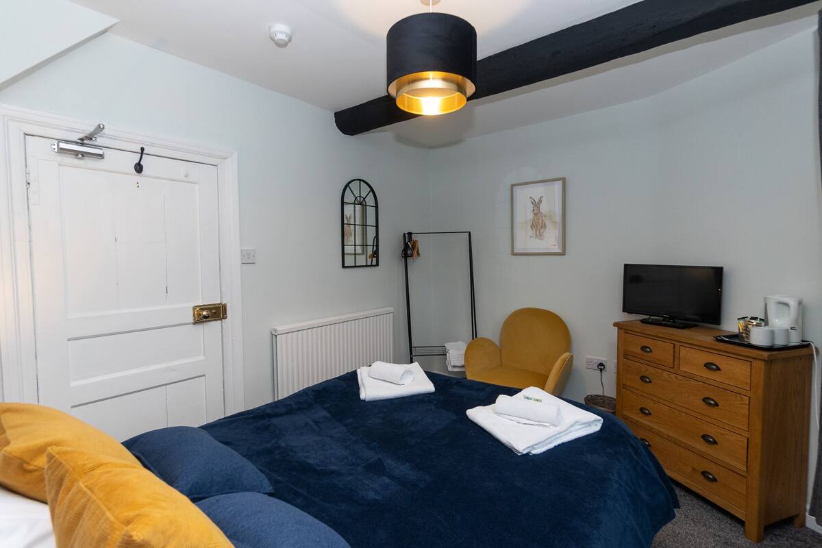 A bedroom with a bed, a chair, a dresser, a television, and a ceiling fan.