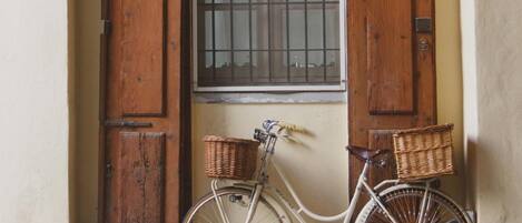 A bicycle with baskets parked in front of a wooden door with a window.