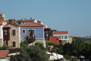 Vista desde la propiedad