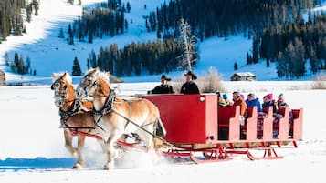 Snø- og skisport