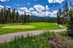 Condo, 2 chambres | Golf