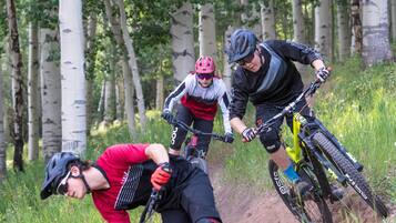 Tres ciclistas de montaña en un sendero, con abedules al fondo.
