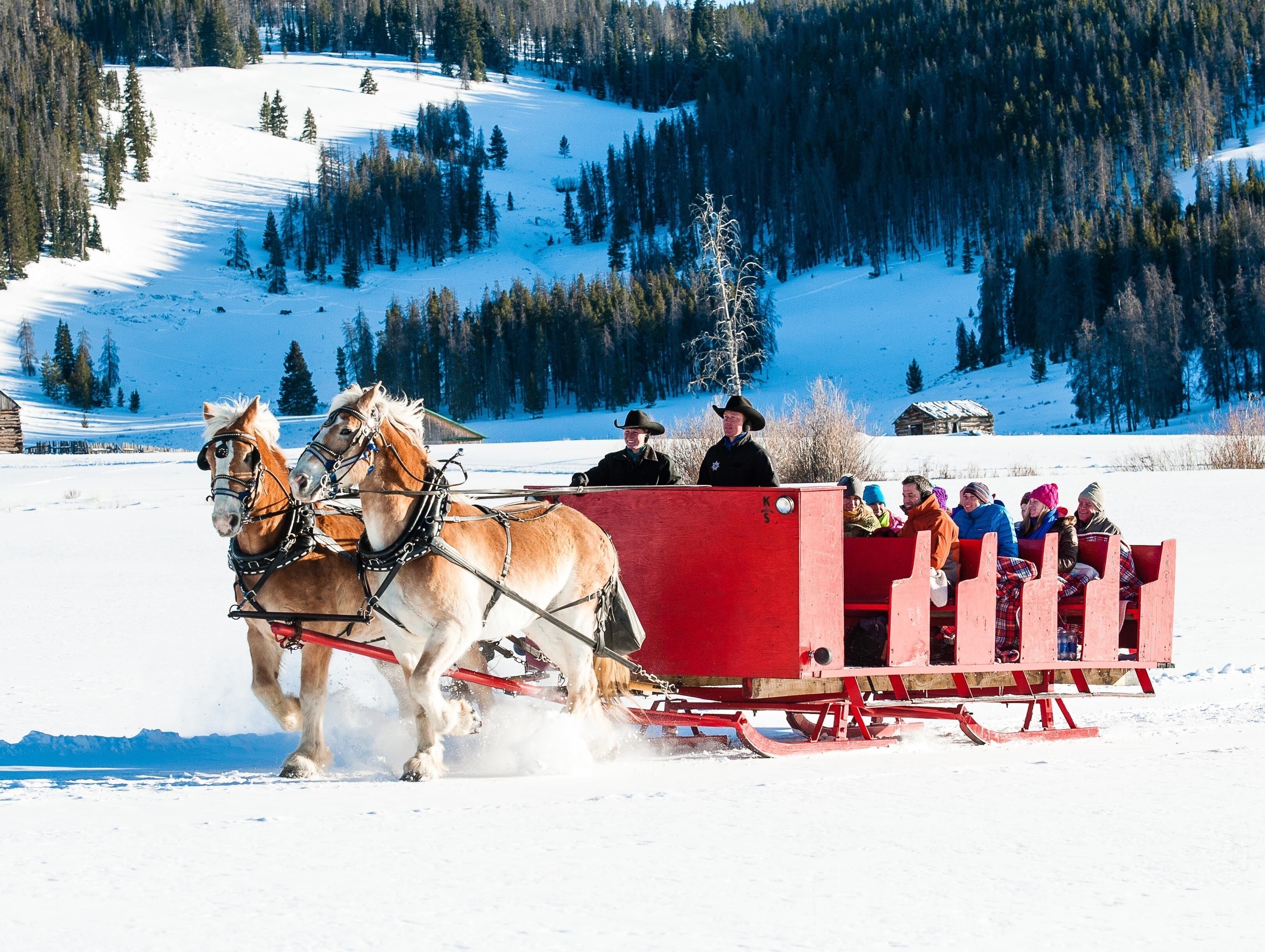 Un traîneau tiré par des chevaux dans un paysage enneigé, avec des passagers à bord.