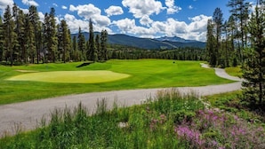 Un parcours de golf avec un tracé bien défini, entouré de grands arbres et avec des montagnes en toile de fond.