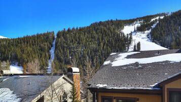 Condo, 1 habitación | Exterior