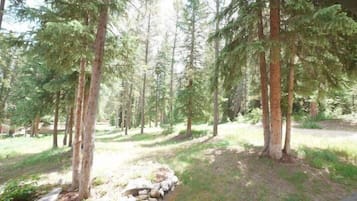 Condo, 1 habitación | Áreas de la propiedad