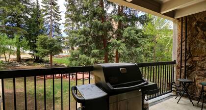 Amazing Ski-In Ski-Out Condo, Pet Friendly - Very Spacious - CM236 by RedAwning