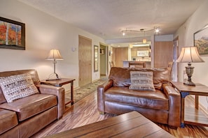 Condo, 1 Bedroom | Living area | TV, fireplace, DVD player - Beautiful Condo, Ski Out Your Back Door - FP202 by RedAwning (Copper Mountain)