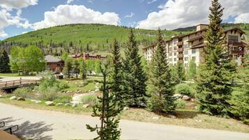 Condo, 2 Bedrooms | Property grounds