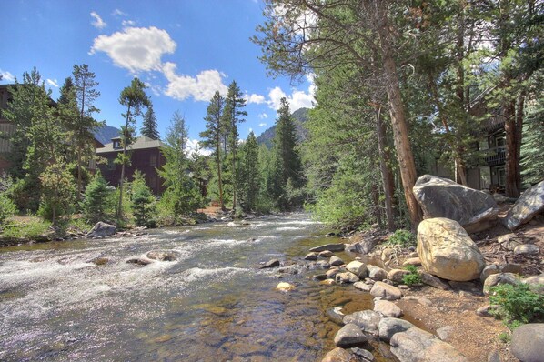 A river flowing through a forest with a building on the left.