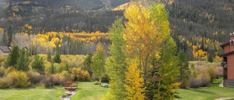 Apartment, 2 Schlafzimmer | Unterkunftsgelände