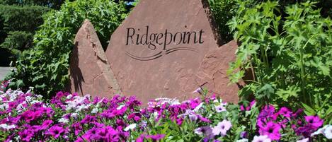 A sign with 'Ridgepoint' written on it, surrounded by vibrant flowers.