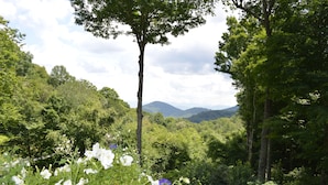 A lush green landscape with a prominent tree in the foreground and a mountain range in the background. - Bald Mountain House Inn at the Wolf Laurel Resort (Mars Hill)