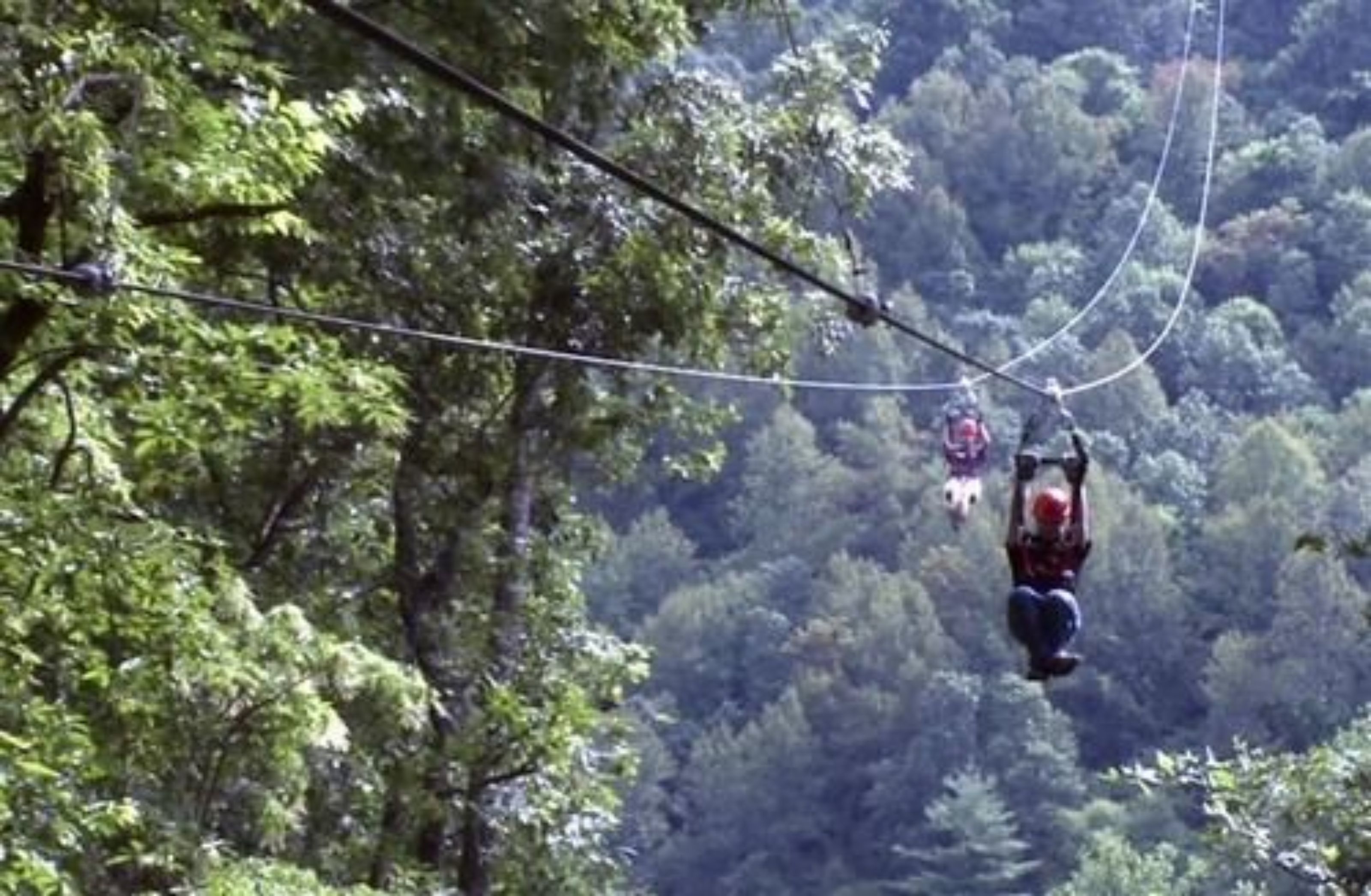 Une personne pratiquant le saut à l'élastique avec une forêt en arrière-plan.