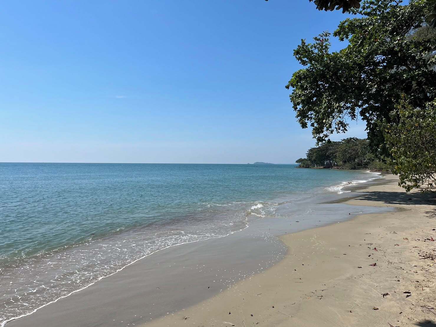 Una playa con agua cristalina, orilla de arena y densa vegetación.