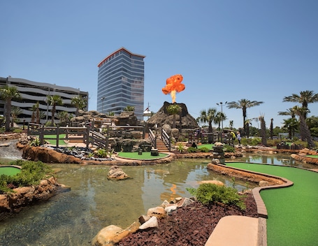 Mini-golf