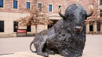 A bronze bull statue in front of a building with a brick facade and windows.