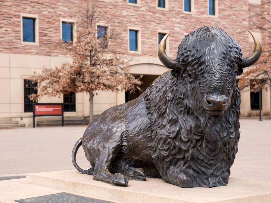 A bronze bull statue in front of a building with a brick facade and windows.