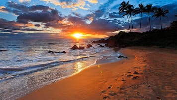 Plage à proximité, chaises longues, serviettes de plage