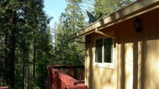 Una cabaña de madera con terraza, rodeada de un bosque denso.