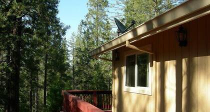 Kaunis perhekoti Pine Mtn: llä. Järvi - kansi, ilmastointi, WiFi lähelläYosemite
